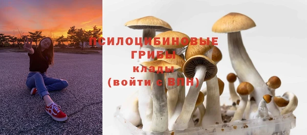 метадон Аркадак
