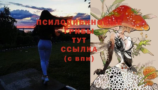 метадон Аркадак