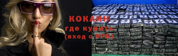 гидра Надым