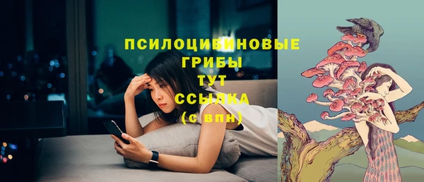 метадон Аркадак