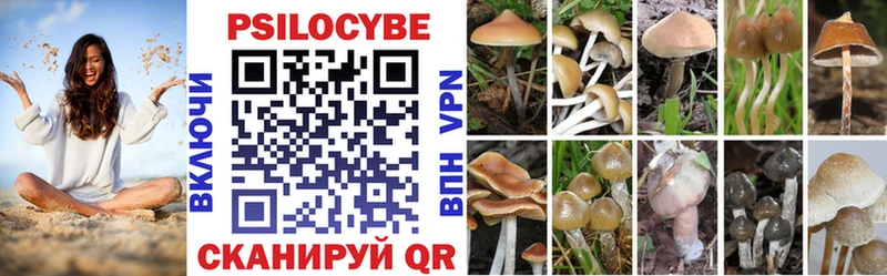 где найти наркотики  Спас-Деменск  OMG как зайти  Псилоцибиновые грибы мицелий 